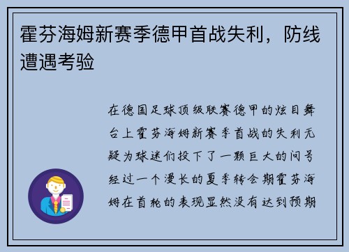 霍芬海姆新赛季德甲首战失利，防线遭遇考验