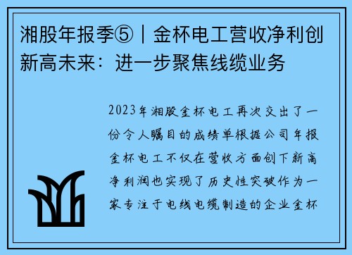 湘股年报季⑤｜金杯电工营收净利创新高未来：进一步聚焦线缆业务