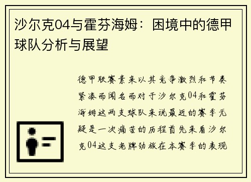 沙尔克04与霍芬海姆：困境中的德甲球队分析与展望