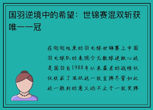 国羽逆境中的希望：世锦赛混双斩获唯一一冠