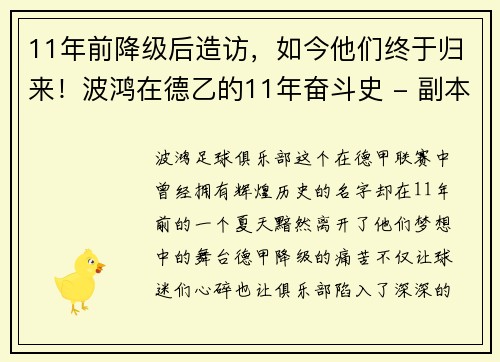 11年前降级后造访，如今他们终于归来！波鸿在德乙的11年奋斗史 - 副本